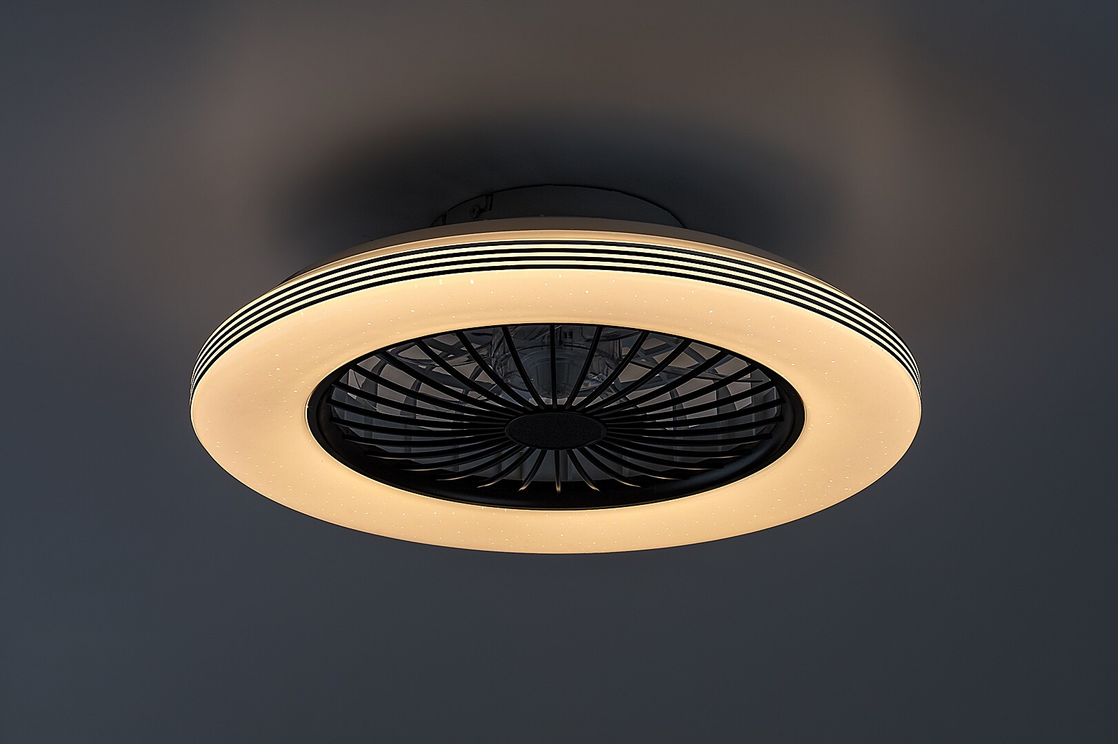 71330-2_fhd.jpg