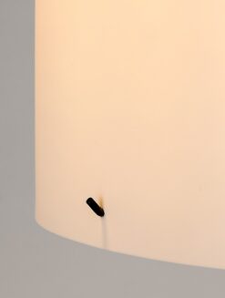ЛАМПИОН RABALUX IZANDER 74012 - Image 3
