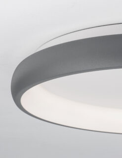 Плафониера Nova Luce ALBI 8105617 сив детайл 5