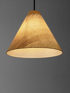 Пендел Nova Luce ELYSIAN 9001070 черен детайл 4