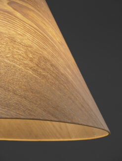 Полилей Nova Luce ELYSIAN 9001071 черен детайл 4