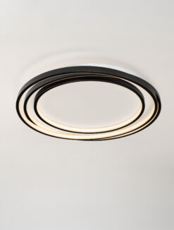 Плафониера Nova Luce ARBOR 9001096 черен детайл 3