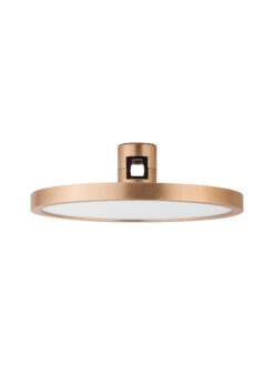 Магнитно тяло Nova Luce DECORATIVE MAGNETIC 9028817 златист в интериор