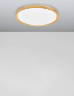 Плафониера Nova Luce TROY 9053560 златист детайл 5