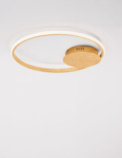 Плафониера Nova Luce FULINE 9348071 златист детайл 2