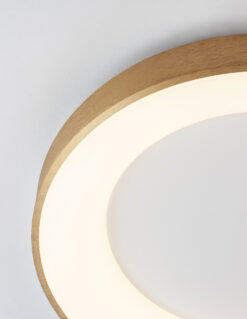 Плафониера Nova Luce RANDO THIN 9353832 златист детайл 4