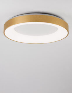 Плафониера Nova Luce RANDO THIN 9353854 златист детайл 2