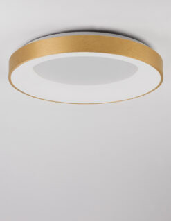 Плафониера Nova Luce RANDO THIN 9353854 златист детайл 3