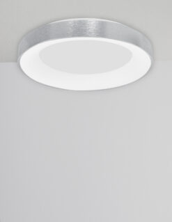 Плафониера Nova Luce RANDO THIN 9353856 сребърен детайл 2