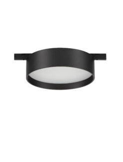 Магнитно тяло Nova Luce 5MM 9580775 черен в интериор