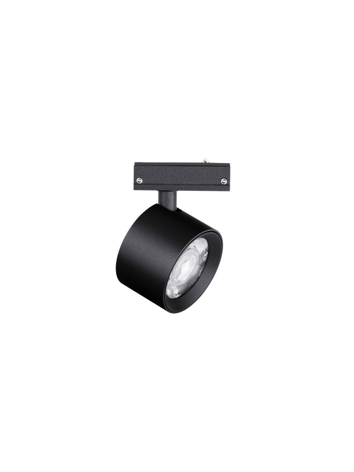 Магнитно тяло Nova Luce IVY 9580920 черен в интериор
