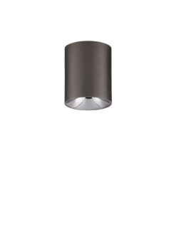 Луна за външен монтаж Nova Luce ANETO 9695153 сив в интериор