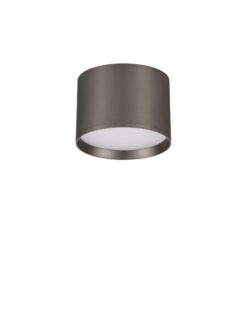 Луна за външен монтаж Nova Luce ZIARE 9695169 сив в интериор